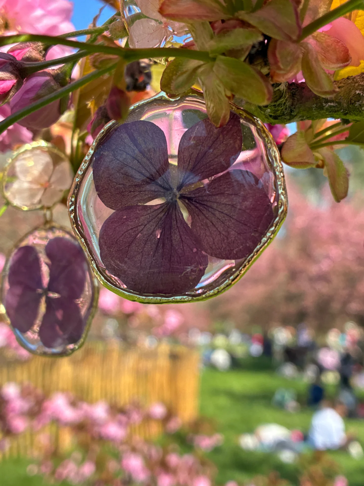 Boucles d'oreilles Freeshka en hortensia séché coulé dans la résine